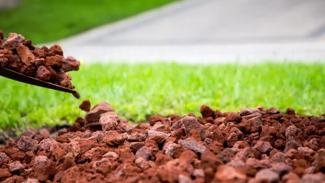 Home Decor and Garden